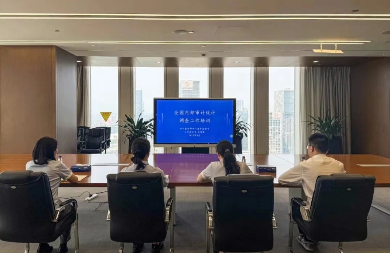 公司开展内部审计统计调查工作培训